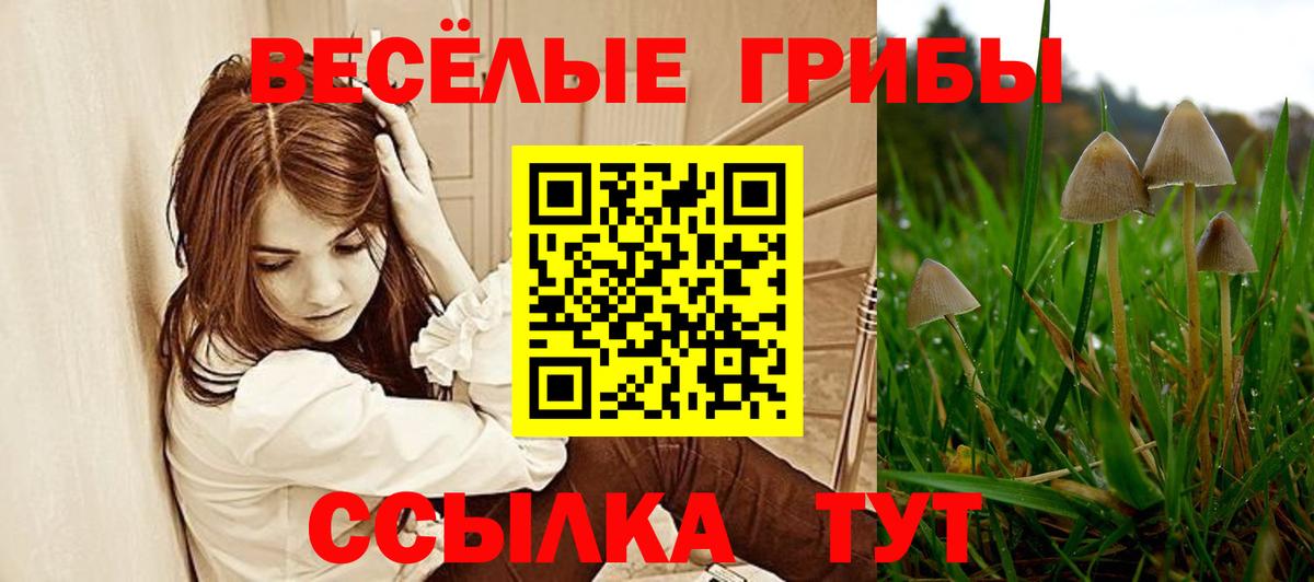 Псилоцибиновые грибы GOLDEN TEACHER Сафоново